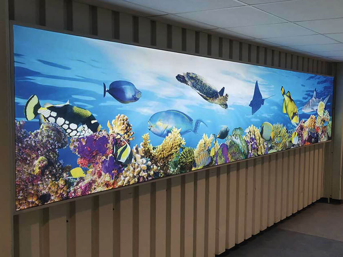 Aquarium01